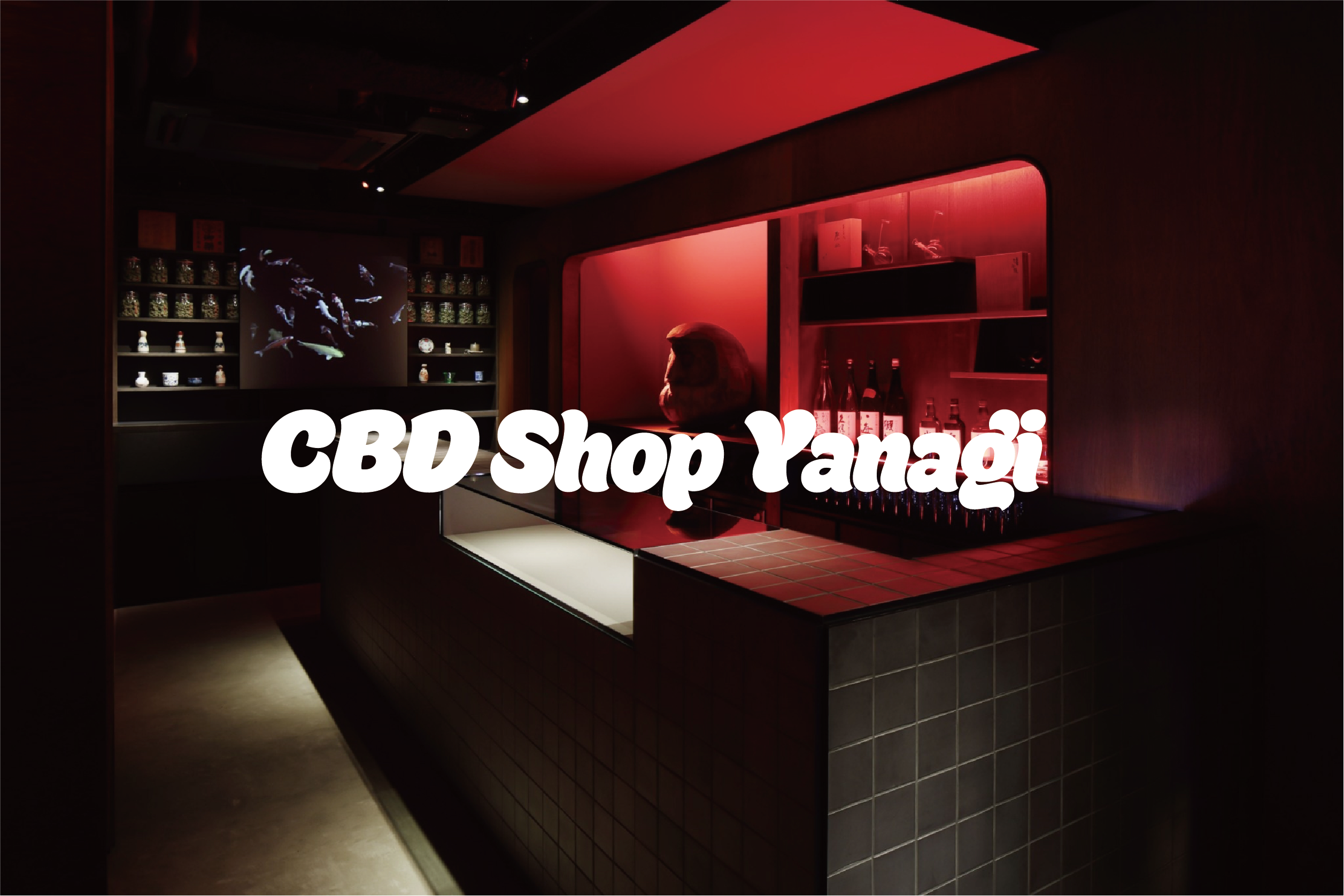 About CBN Cookie – YANAGI OG